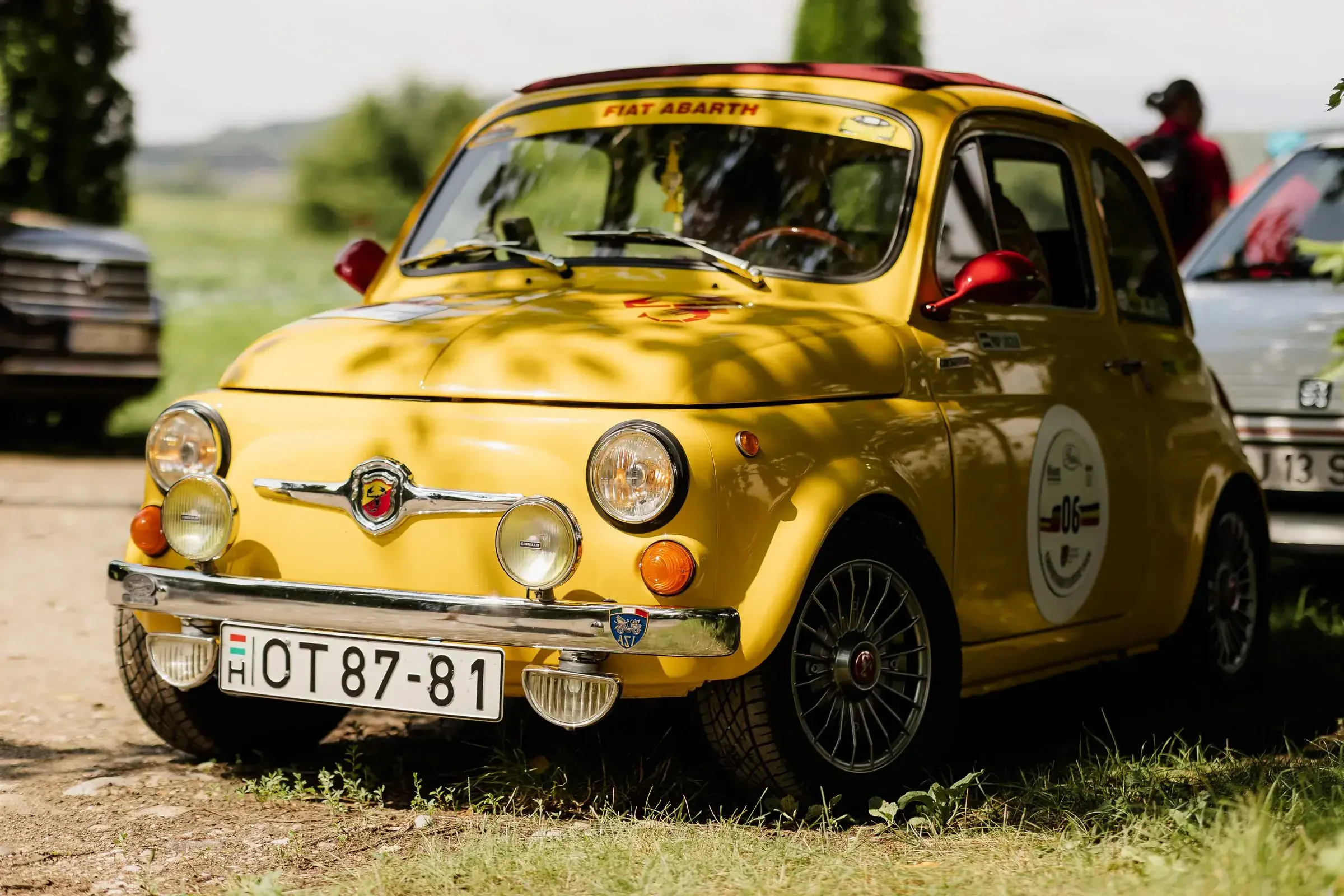 Carpathian Classic 2026 · 82