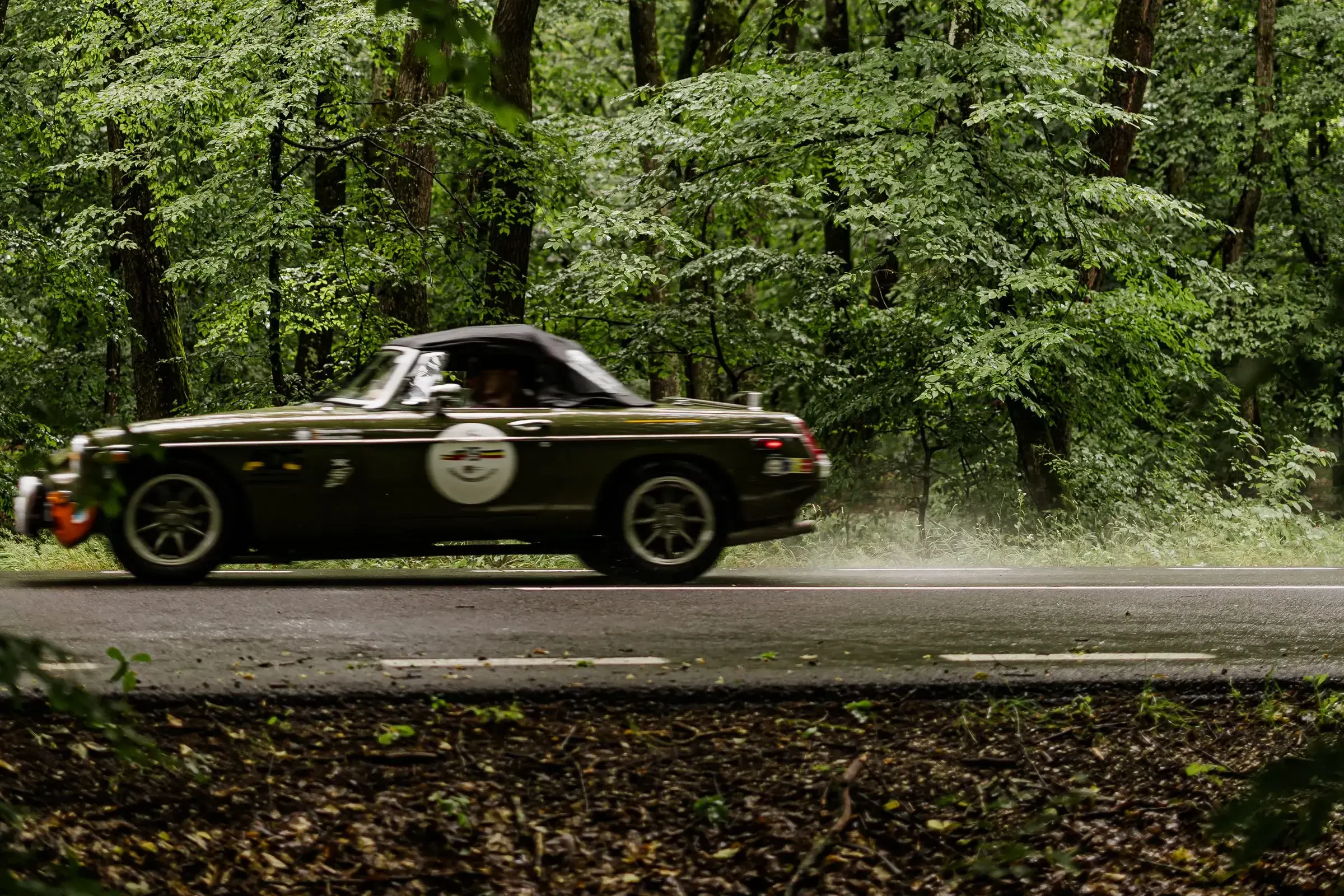 Carpathian Classic 2026 · 88