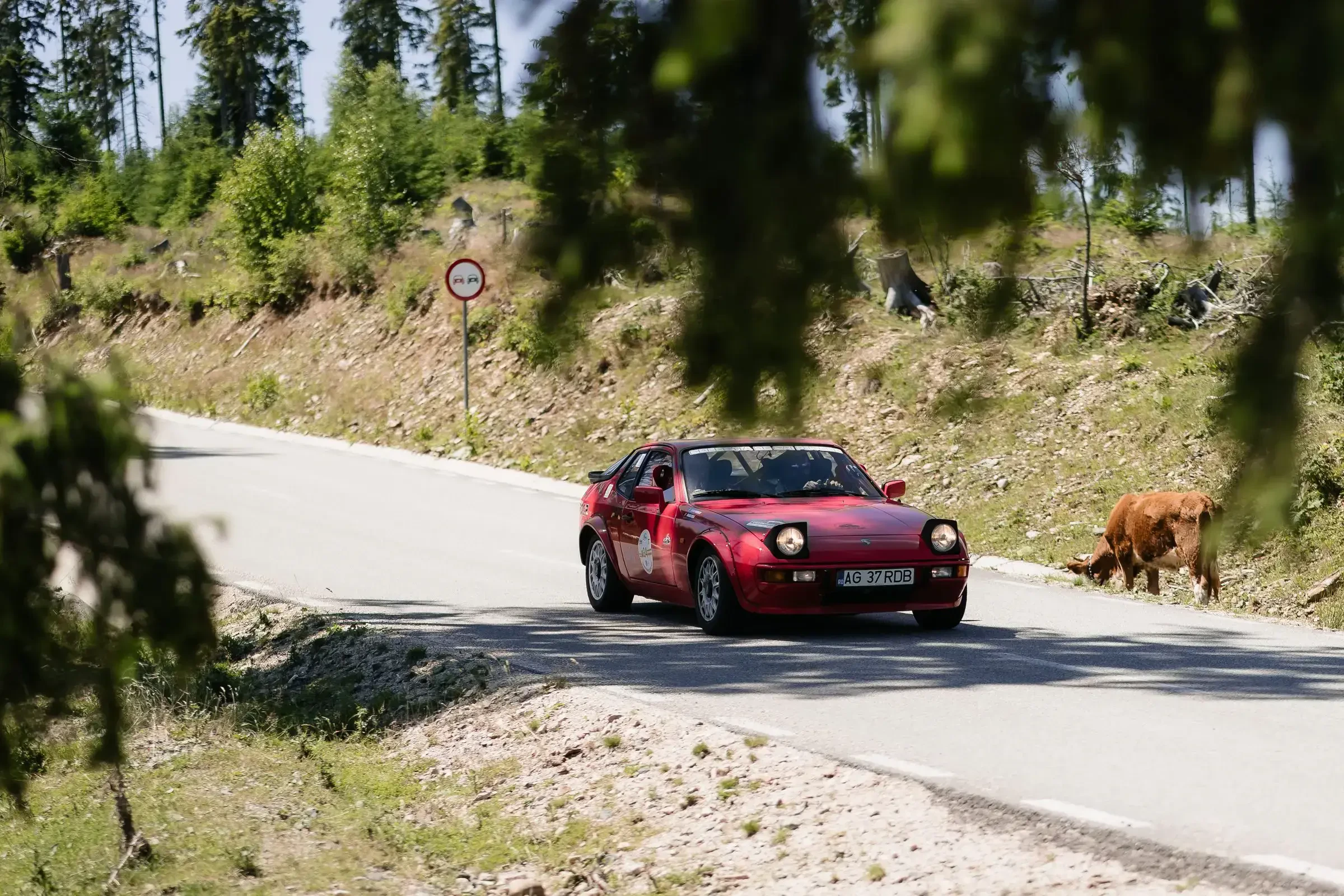 Carpathian Classic 2026 · 100
